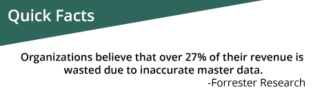 Techwave Master Data Management blogs