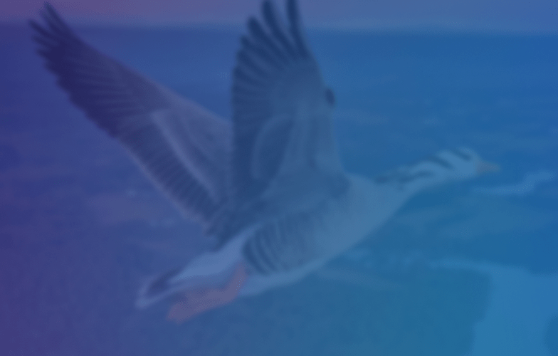 next-gen-erp-solutions-for-manufacturing