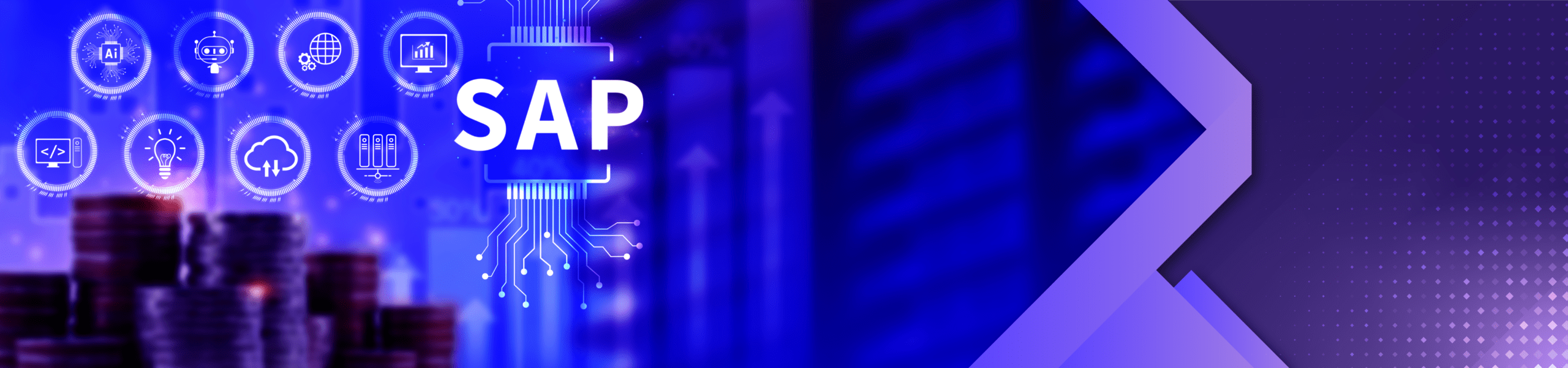 strategies to maximize SAP investment return on investment